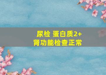 尿检 蛋白质2+ 肾功能检查正常